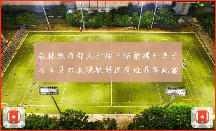森林狼内部人士称三球能提升华子与戈贝尔表现联盟还有谁具备此能力